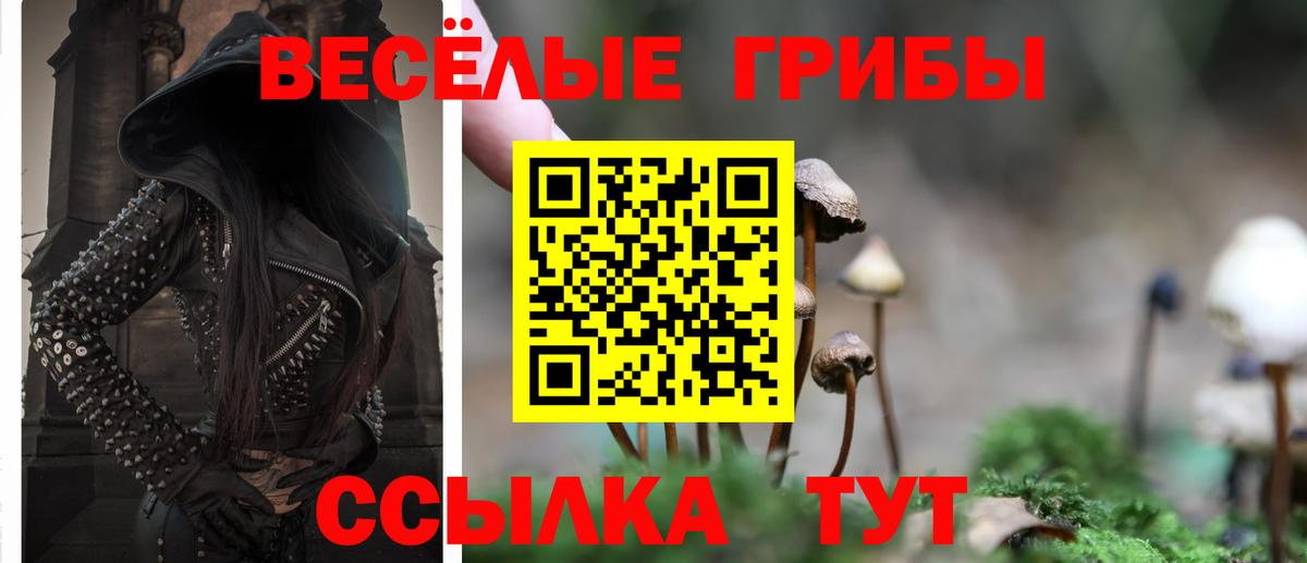Псилоцибиновые грибы мухоморы Симферополь